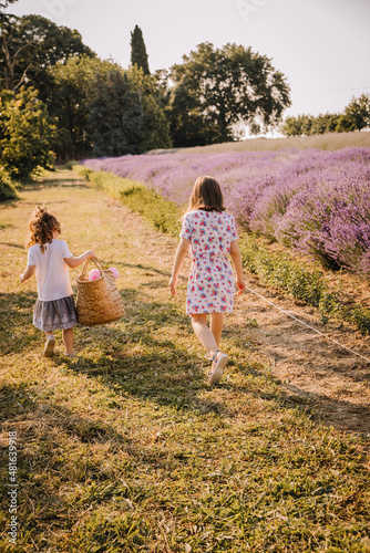 Campo di lavanda © Luana