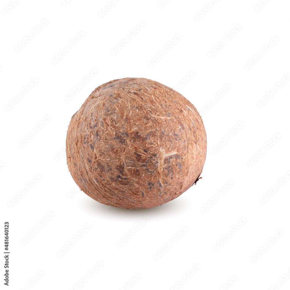 coconut isolated on a white background. coconut isolated on a white background.