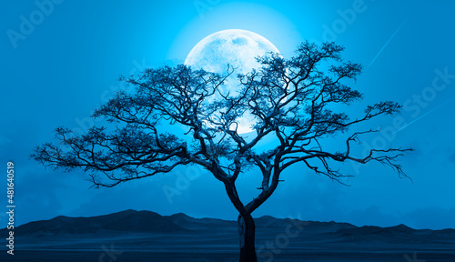 Fototapeta Naklejka Na Ścianę i Meble -  Lone dead tree with super full blue Moon, amazing clouds in the background 