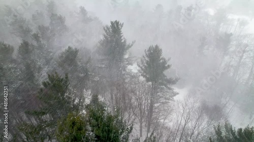 Wallpaper Mural heavy snow falls while flying over white pines in mountain forest near boone nc, north carolina Torontodigital.ca