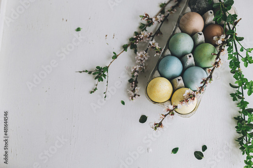 Happy Easter! Stylish Easter eggs and cherry blossoms on rustic white wooden background. Flat lay with space for text. Natural dyed colorful eggs in tray and spring branches on rustic table