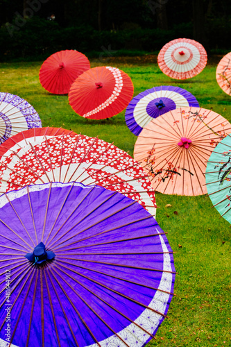 Japanese umbrella