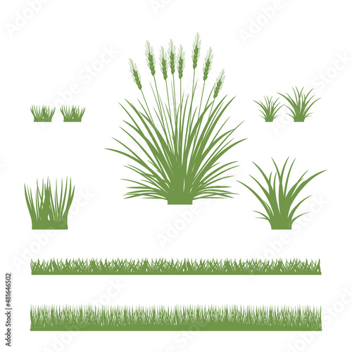 Green grass. Elements of landscape lawns. Vector illustration.