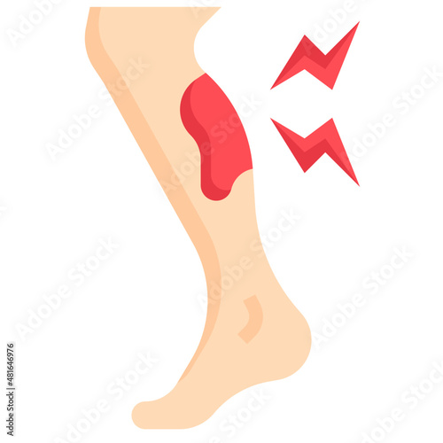 BRUISED CALF flat icon