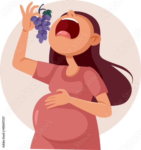 Obraz na plátně Pregnant Woman Eating Grapes Vector Cartoon Illustration
