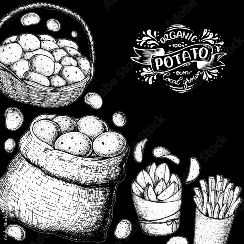 Potato vector illustration. Basket and bag of potatoes. French fries, rustic potatoes and chips hand drawn. Engraved style frame.