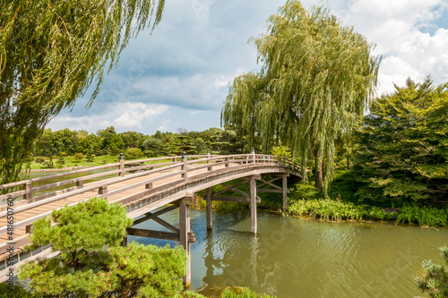 Wooden Bridge to the Japanese Island in the Chicago Botanic Garden, USA photo