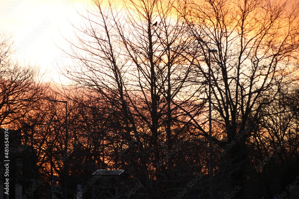 Sehr intensiver Sonnenuntergang hinter Bäumen Sehr intensiver Sonnenuntergang hinter Bäumen