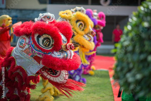 lion dance on chinese new year, chinese new year, chinese traditions, chinese culture, chinese people,