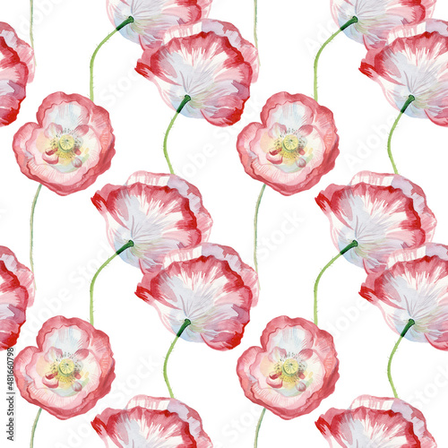 Watercolor seamless patterns with Poppies on white background. Summer, botanical, floral, holiday hand painted prints.Designs for wrapping paper, textiles, fabric, wallpaper, packaging.