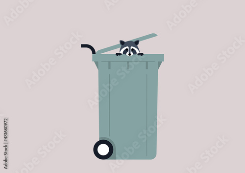 A cute raccoon peeking out from a garbage can