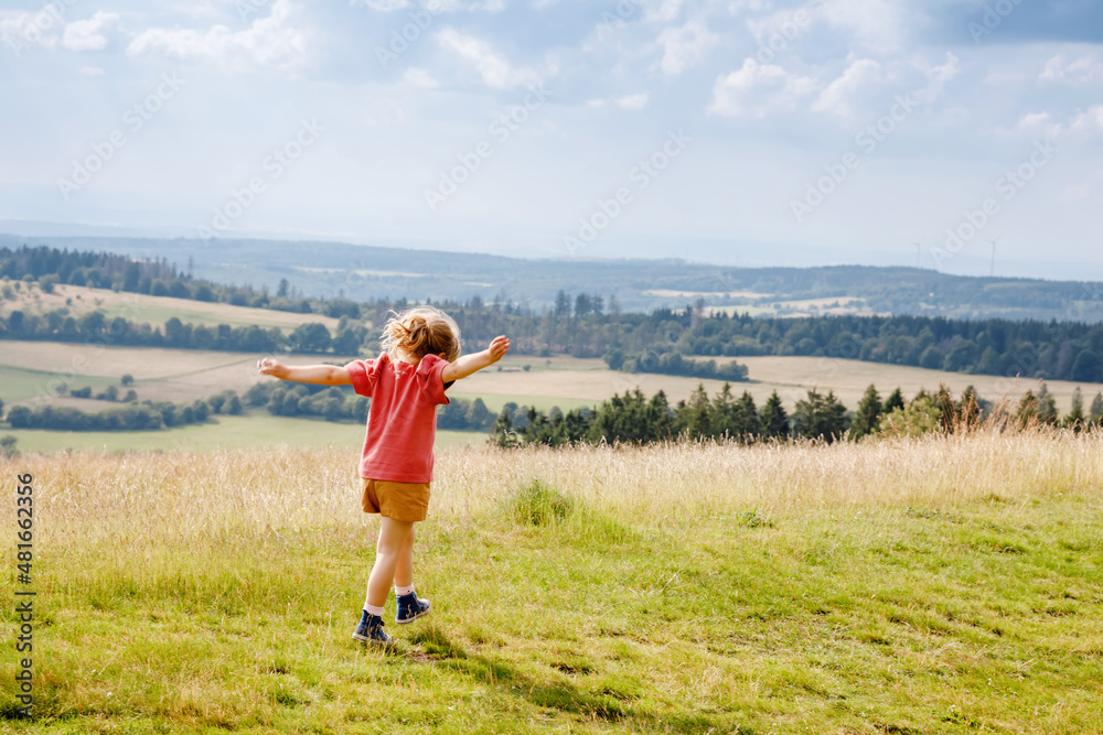 Little preschool girl running and walking through meadow with blooming field flowers, with view on hills and mountains. Happy toddler child having fun, outdoors family activity, hiking on summer day.