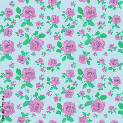 Festive ornament of striped roses on a pink background. Floral pattern.