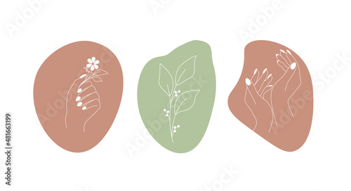 Vector set of female hands.Icons in minimal trendy linear style. Womans hand holding flower. A twig with leaves.Abstract logo for manicure master, cosmetics,emblem for beauty or nail studio.Logo nail