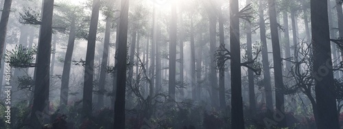 Fototapeta Naklejka Na Ścianę i Meble -  Forest in the morning in a fog in the sun, trees in a haze of light, glowing fog among the trees, 3D rendering