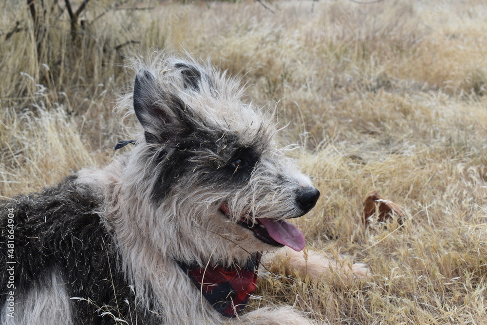 Fototapeta premium outdoors 