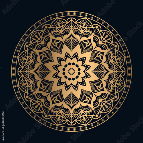 mandala design vector