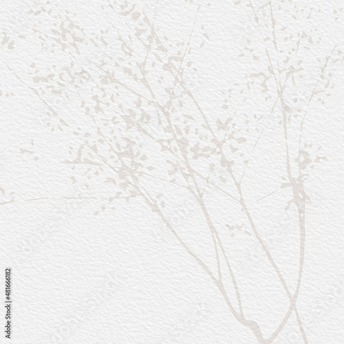 Fototapeta Naklejka Na Ścianę i Meble -  Floral rustic background flowers and botanical elements