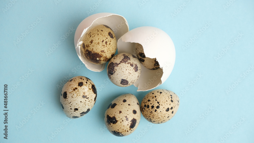 Quail eggs in white eggshell.