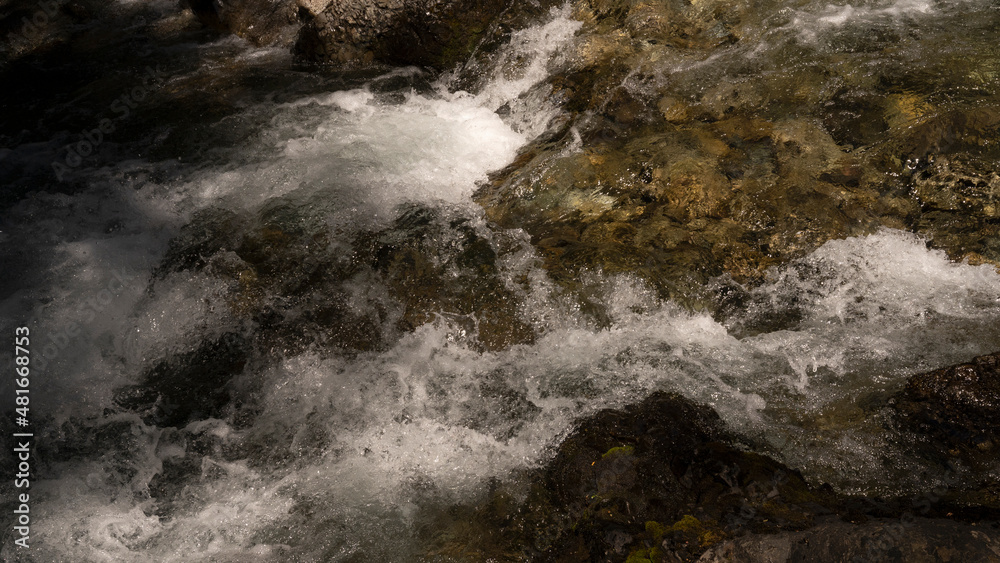 The rapids. Closeup view of the fresh water stream with a rocky bed.