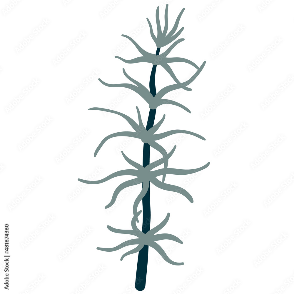 Forest plants in boho style. Ferns, horsetails, leaves, branches Forest plants in boho style. Ferns, horsetails, leaves, branches