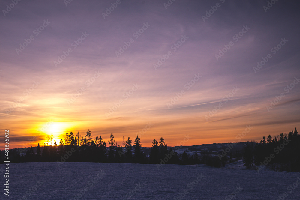 sunrise over the forest