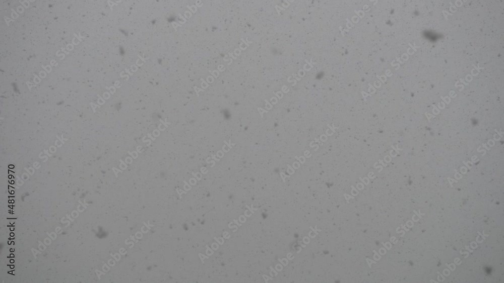 Chute de gros flocons de neige sur un ciel gris
