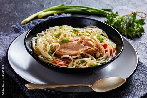 chicken noodle soup with carrots and scallion