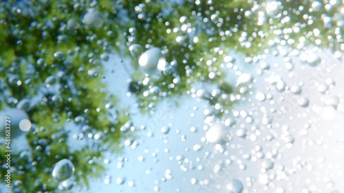 Refreshing morning dew drops are falling from wet green leaves of a tree in super slow motion with very shallow depth of field. Beauty in nature concept background