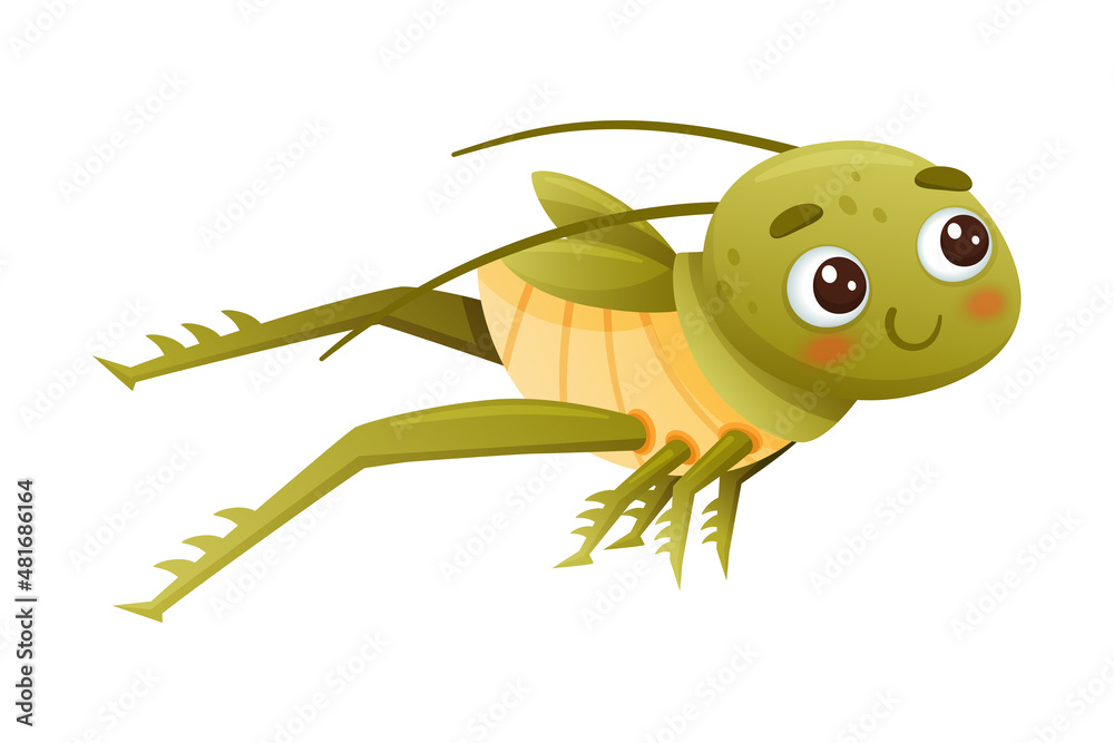 Cute green grasshopper jumping. Funny baby insect mascot cartoon character  vector illustration Stock Vector | Adobe Stock