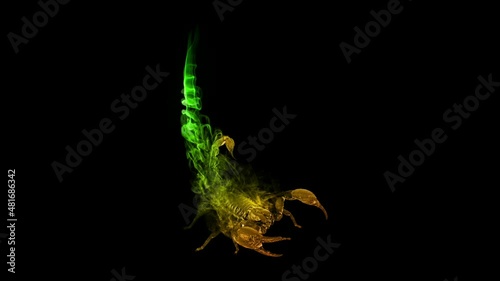 poisonous scorpion in amzing gold and green animeted smoke photo
