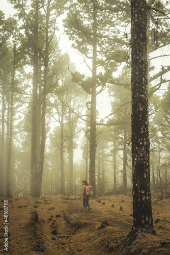 walking in the foggy woods © Kasia Czampiel