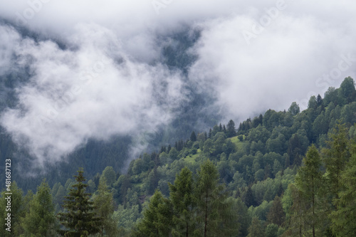 Foresta alpina e cielo nuvoloso