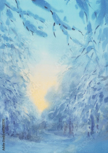 Forest trees in blue twilight watercolor background