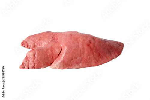 Obraz na płótnie Raw pork lungs on white background. Single fresh healthy pink lung. Closeup. w salonie