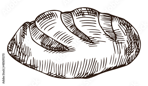 Bread sketch style vector illustration. Old hand drawn engraving imitation. Loaf of bread illustration