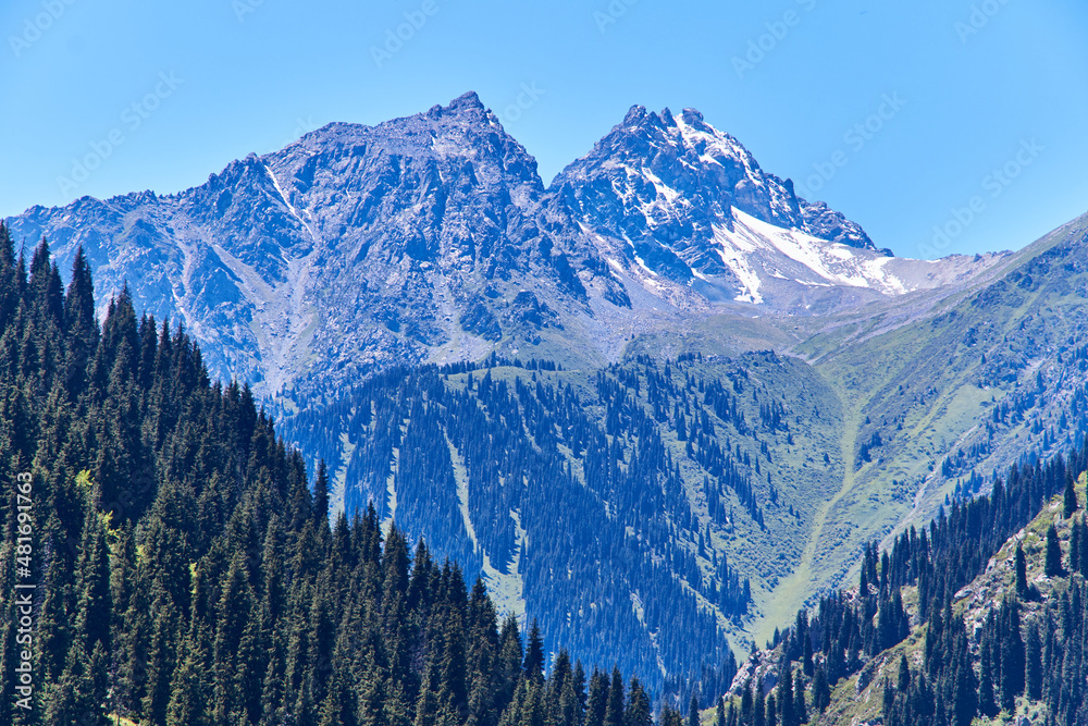 scenic view of the rocky mountain top and the slopes covered with forest