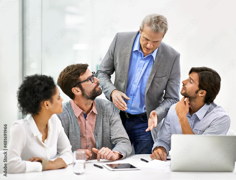 Giving a mature perspective on the project Giving a mature perspective on the project