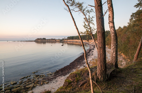 Scenic sunset colored coastal view to the coastal sea bay and cliffs from the woodland edge