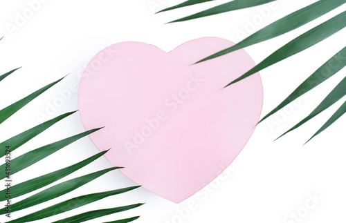 Pink valentine s day gift box with spade leaves