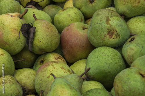 thick stewed pears in a crate at a country shop on the island Goeree Overflakkee