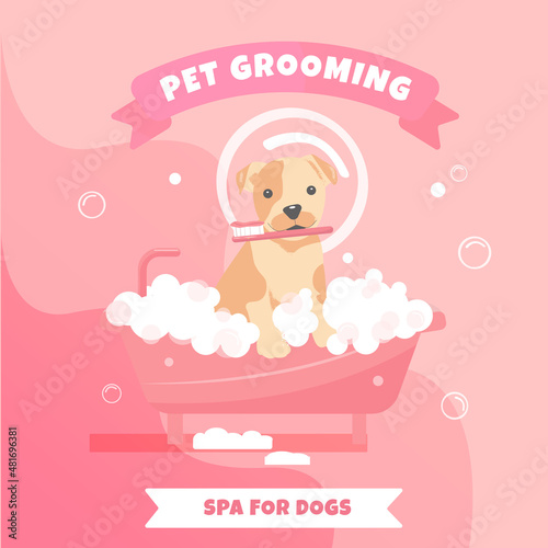 Pet grooming vector illustration with cute dog . Dog sitting in the bathtub with toothbrush and buble
Illustration for pet grooming