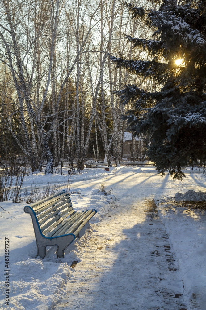 Bench in the recreation park during the winter sunset. Bench in the recreation park during the winter sunset.