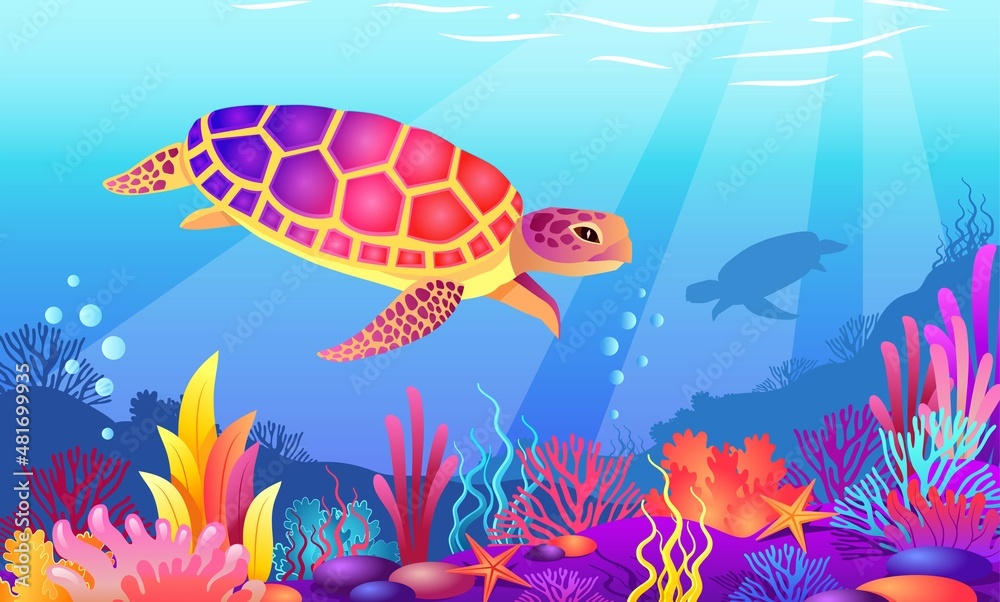 tropical turtle swims in the ocean over colored exotic sea corals tropical turtle swims in the ocean over colored exotic sea corals