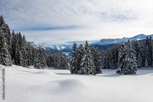 Wallpaper Mural Winter in Pany Torontodigital.ca