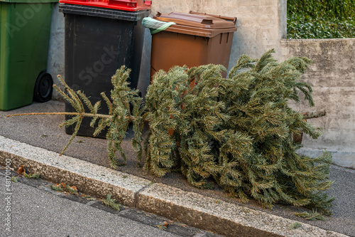 Abandoned Christmas trees in the street beside garbage bin after the holidays. Ecology and waste concept.