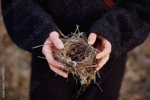 small bird's nest in the hands