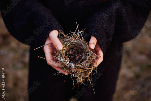 small bird's nest in the hands