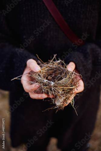 small bird's nest in the hands