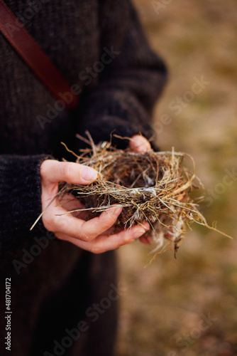 small bird's nest in the hands